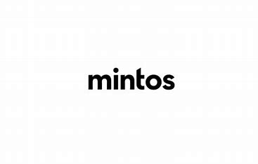 mintos_300x250